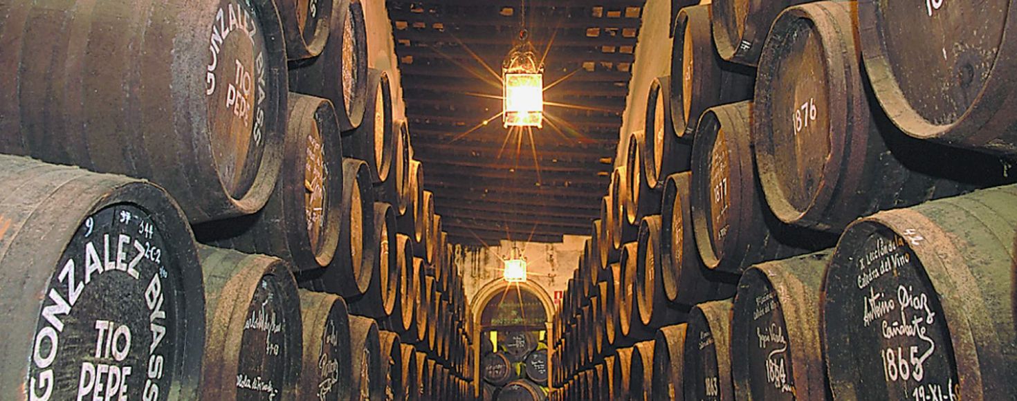 ゴンザレス・ビアスメイン画像