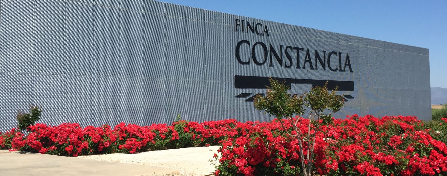 ゴンザレス・ビアスメイン画像