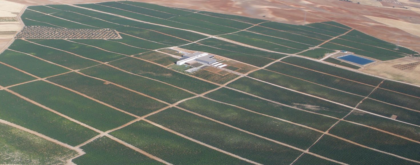 ゴンザレス・ビアスメイン画像