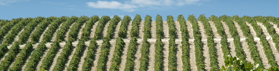 気候イメージ画像