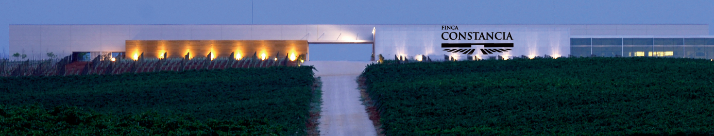 スティル ワインメイン画像