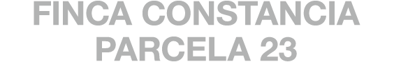 FINCA CONSTANCIA PARCELA 23