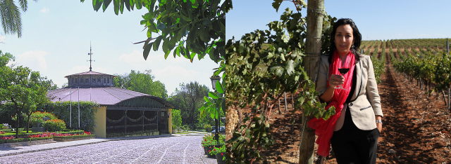 現在、そして未来へ 写真