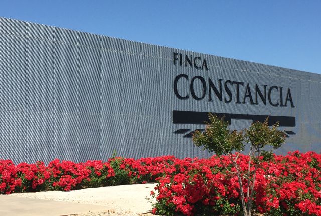 ゴンザレス・ビアスメイン画像