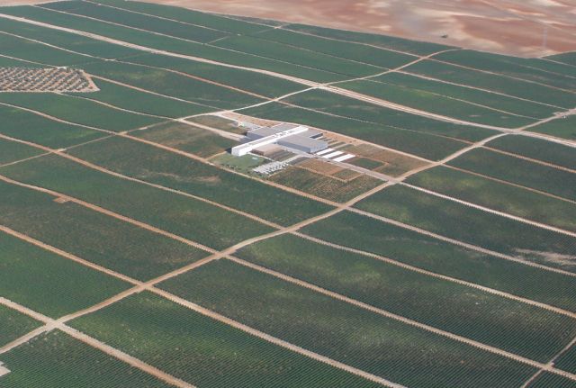 ゴンザレス・ビアスメイン画像