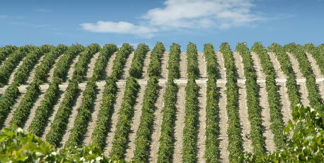 気候イメージ画像