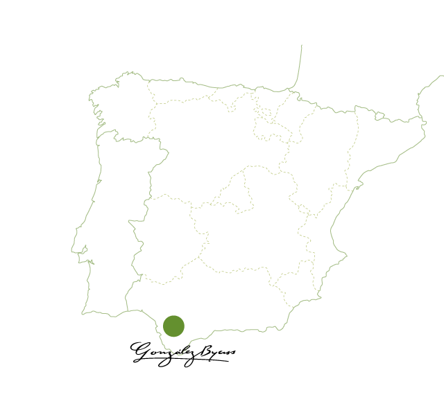 シェリー　マップ