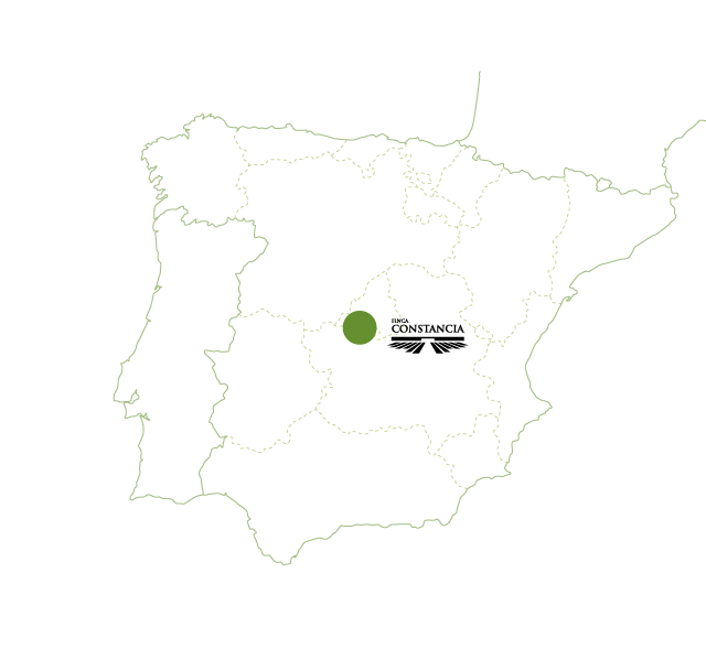 スティルワイン　マップ