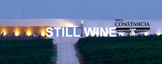 スティル ワインメイン画像