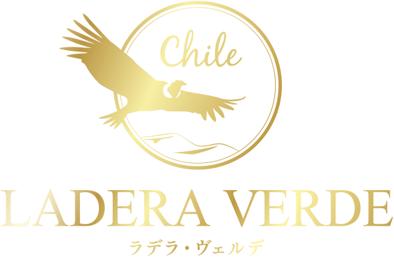 ラデラ ヴェルデ チリ ワイン メルシャン キリン