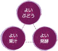 よいぶどう よい果汁 よい発酵