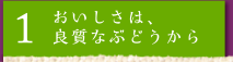 1 おいしさは、良質なぶどうから