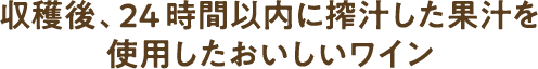 収穫後、24時間以内に搾取した果汁を使用したおいしいワイン