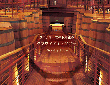 ワイナリーでの取り組み グラヴィティ・フロー Gravity Flow