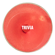 TRIVIA