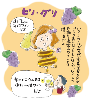 ピノ・ノワールが突然変異で皮の色がピンク色になったものなんだ。ワインの色調も通常のワインより濃い目だよ。味に厚みのある白ワインだよ。辛口でコクのある味わいの白ワインだよ