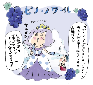 『ピノ・ノワール』はフランス・ブルゴーニュ地方を代表する赤ワインの品種なんだ。気品があってイチゴやラズベリーのような香りがするのよ