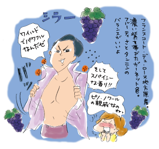 フランスコート・デュ・ローヌ地方原産。濃い紫を帯びたガーネット色。フルーティさとタンニンのバランスがいいよ。ワイルドでパワフルなんだゼ。そしてスパイシーな香り!!ピノ・ノワールの親戚なのね