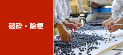 破砕・除梗