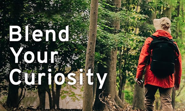 Blend Your Curiosity