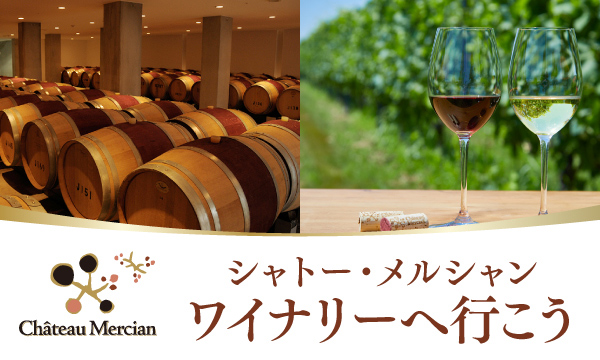 ワインイベント・体験