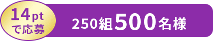 14ptで応募 250組 500名様