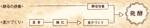 発酵