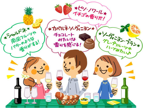 シャルドネは南国フルーツやバターのような香りがする! カベルネ・ソーヴィニヨンはチョコレートみたいな香りを感じる! ピノ・ノワールはイチゴの香りだ! ソーヴィニヨン・ブランはグレープフルーツやハーブみたい♪