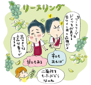 『リースリング』ドイツを代表する白ワイン用の品種だよ。花のような上品な香りがするよ。辛口もあれば、甘口もある。二面性をもったぶどうなのね