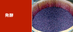 発酵