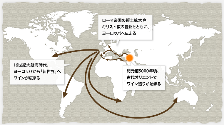 世界のワイン史 これでバッチリ ワインの基礎知識 ワインアカデミー キリン