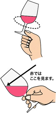 赤では傾けた時の液面の縁を見ます。