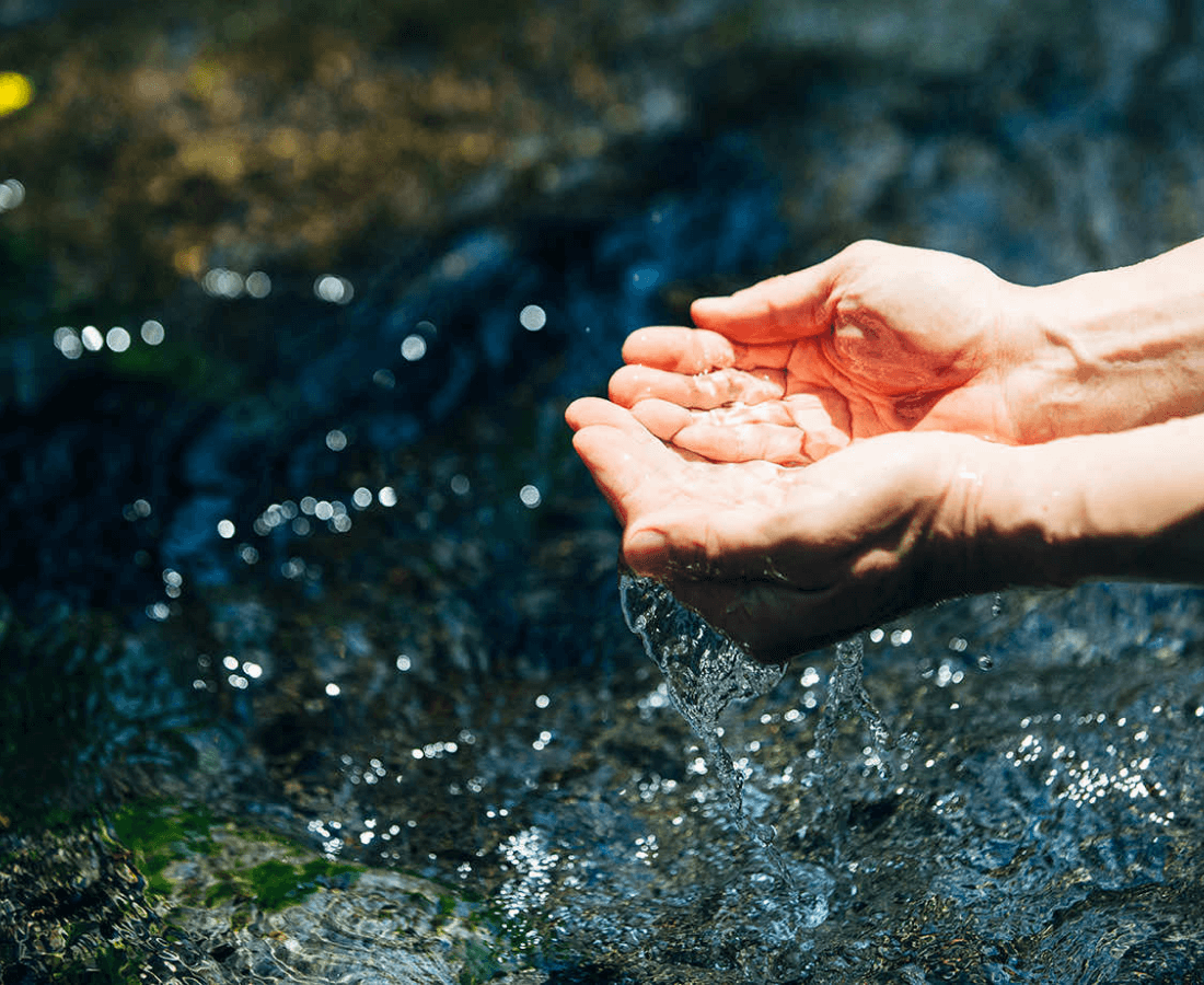 富士の地層で磨かれた清澄で豊かな伏流水。