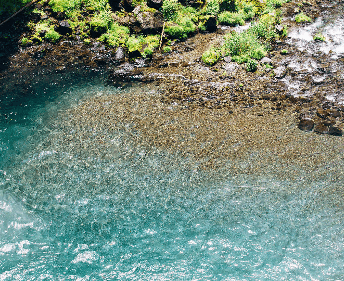 理想のウイスキーを育む御殿場の自然