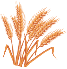 キリンディスティラリー富士御殿場蒸溜所の工場見学ツアー