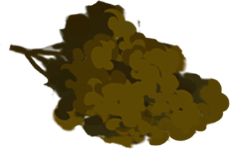 キリンディスティラリー富士御殿場蒸溜所の工場見学ツアー