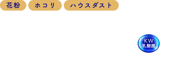 花粉・ホコリ・ハウスダスト 鼻の不快感が起こるメカニズムに着目。キリンのKW乳酸菌