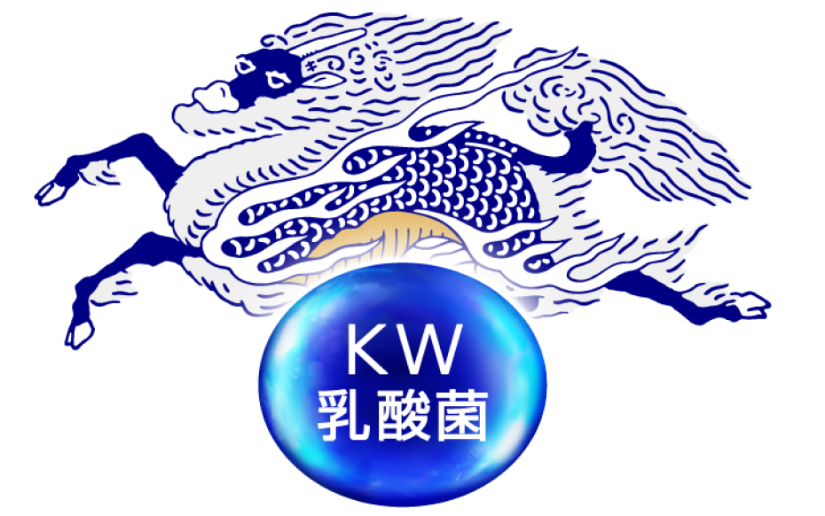 KW乳酸菌