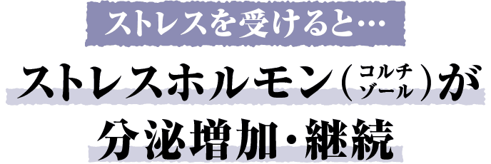 ストレスを受けると…ストレスホルモン（コルチゾール）が分泌増加・継続