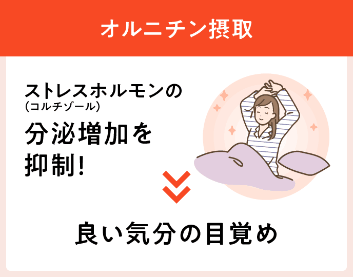 オルニチン摂取 ストレスホルモン（コルチゾール）の分泌増加を抑制！良い気分の目覚め
