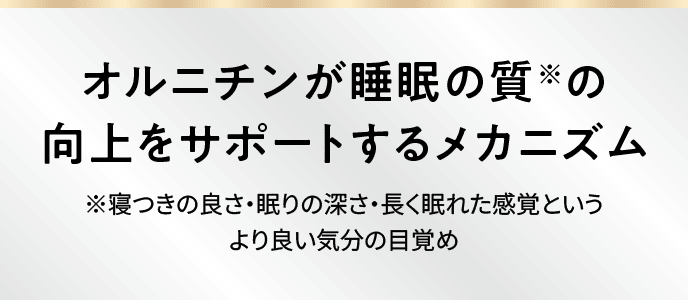 オルニチンが睡眠の質※の向上をサポートするメカニズム ※寝つきの良さ・眠りの深さ・長く眠れた感覚というより良い気分の目覚め
