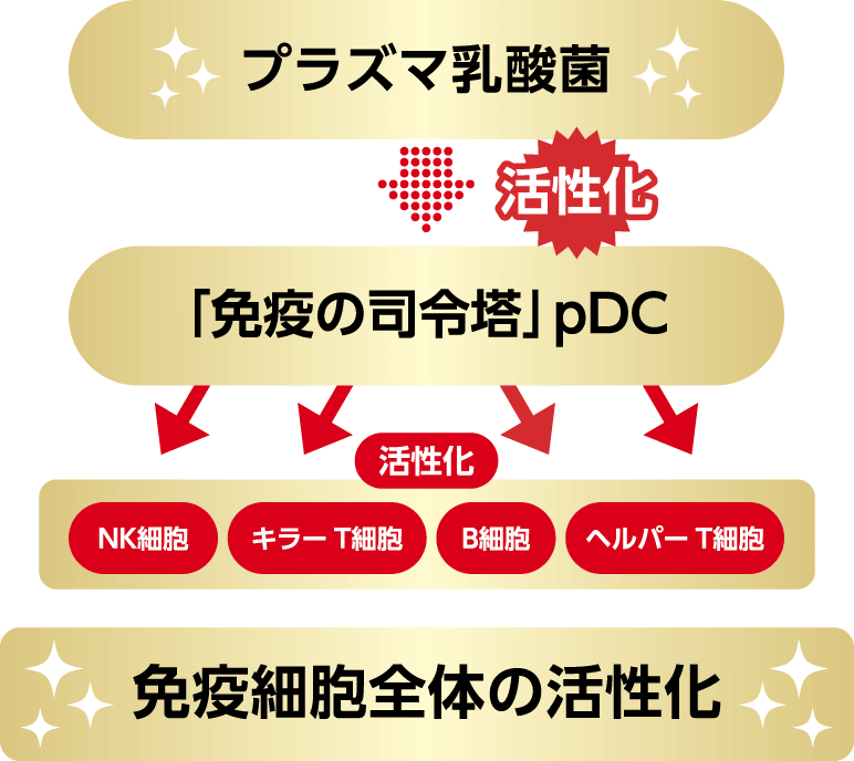 プラズマ乳酸菌のメカニズム