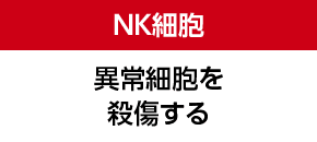 NK細胞 異常細胞を殺傷する