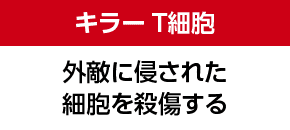 キラーT細胞 外敵に侵された細胞を殺傷する