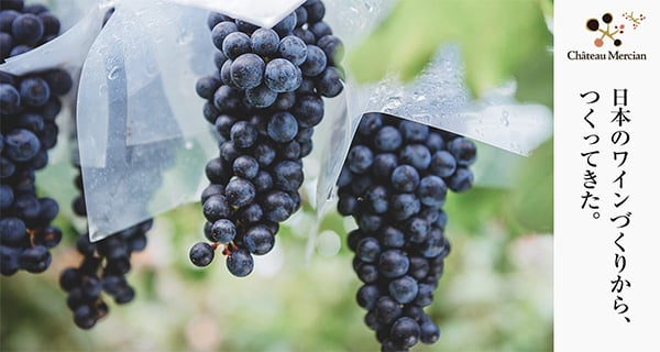 日本のワインづくりから、つくってきた。