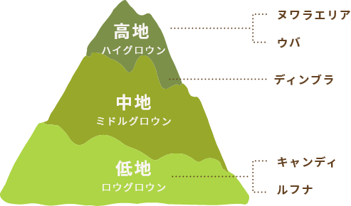 低地(ロウグロウン)…キャンディ、ルフナ 中地(ミドルグロウン)…ディンブラ (高地)…ヌワラエリア、ウバ