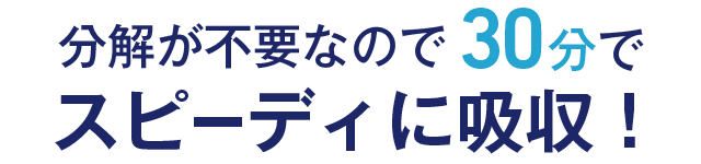 分解が不要なので30分でスピーディに吸収！