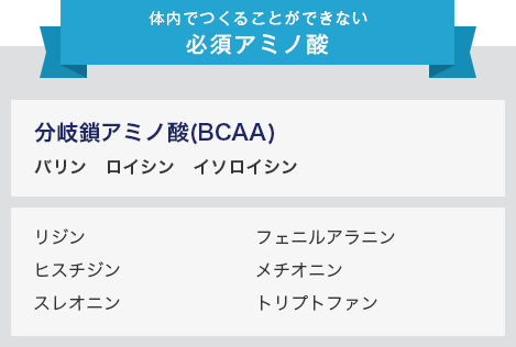 体内でつくることができない必須アミノ酸 分岐鎖アミノ酸(BCAA) バリン ロイシン イソロイシン リジン ヒスチジン スレオニン フェニルアラニン メチオニン トリプトファン