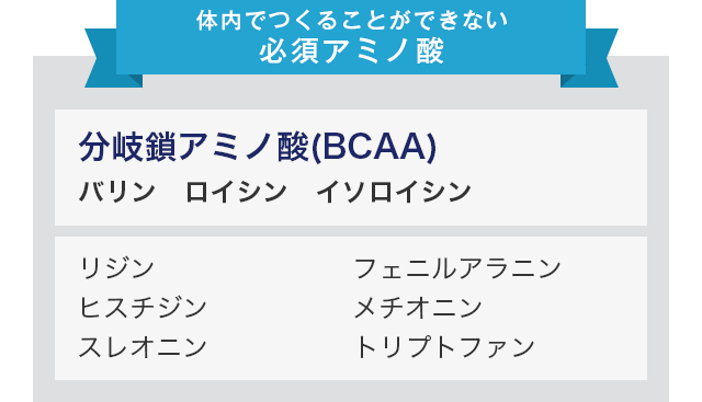 体内でつくることができない必須アミノ酸 分岐鎖アミノ酸(BCAA) バリン ロイシン イソロイシン リジン ヒスチジン スレオニン フェニルアラニン メチオニン トリプトファン