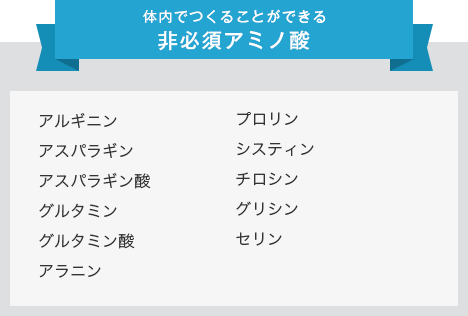 体内でつくることができる非必須アミノ酸 アルギニン アスパラギン アスパラギン酸 グルタミン グルタミン酸 アラニン プロリン システィン チロシン グリシン セリン